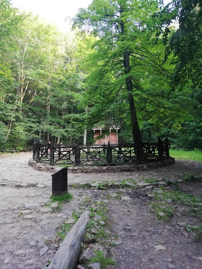 Apartamento Agroturystka Na Polanie Swieta Katarzyna  Exterior foto